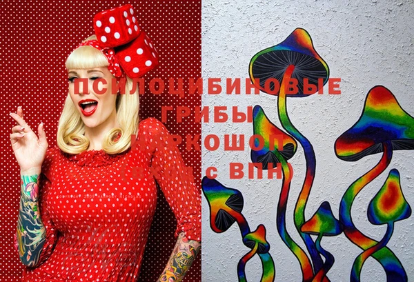 PSILOCYBIN Сясьстрой